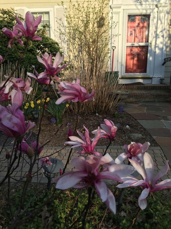 Wellesley Bed And Breakfast Luaran gambar